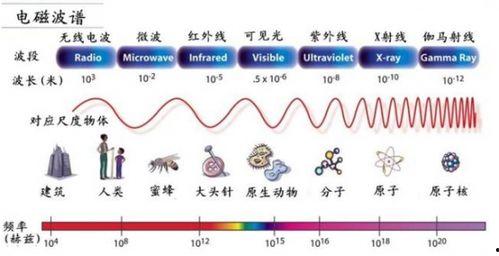 国产无线资源,引领科技潮流,构建智慧生活新篇章